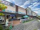 万代香里ヶ丘店(スーパー)まで1300m サンシーハイツ