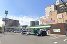 ファミリーマート 新高１丁目店(コンビニ)まで267m シンセリティ野中