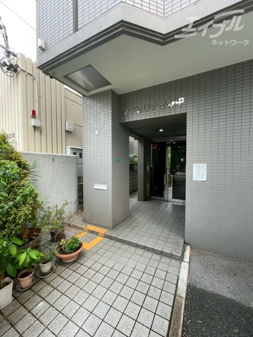  シンセリティ野中