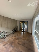  サーフアイランドモナリザ