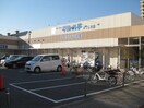 スーパーマルハチみてじま店(スーパー)まで729m※スーパーマルハチみてじま店 学研都市線<片町線>・JR東西線/御幣島駅 徒歩6分 10階 築1年