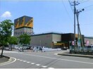 アピタ高崎店(スーパー)まで2007m コンフォートⅢ (高崎市中大類町)