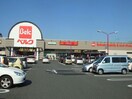 ベルク飯塚店(スーパー)まで953m コンフォータブル