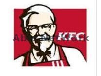 ケンタッキーフライドチキンベイシア安中店(その他飲食（ファミレスなど）)まで519m スプリングコート （安中市中宿）