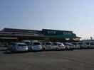 カインズFC高崎東部店(電気量販店/ホームセンター)まで1228m グラン・フォレスト（高崎市東貝沢町）Ⅰ/Ⅱ