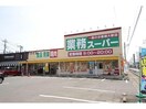 業務スーパー藤岡店(スーパー)まで312m プランドール　(藤岡市藤岡)