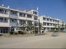 前橋市立総社小学校(小学校)まで1098m ナヌムIWAO
