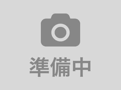  ドミール棟高Ａ/Ｂ