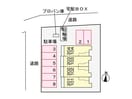  フェリーチェ’２５
