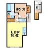 グランツリー井野 1LDKの間取り