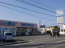 マルエドラッグ高崎小八木店(ドラッグストア)まで985m 赤尾ハイツ (高崎市井野町)