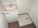 独立洗面洗面台＆室内洗濯機置き場 コーポ坂本（高崎市棟高町）