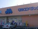 マルエドラッグ高崎寺尾店(ドラッグストア)まで1199m メゾンロイヤル (高崎市石原町)