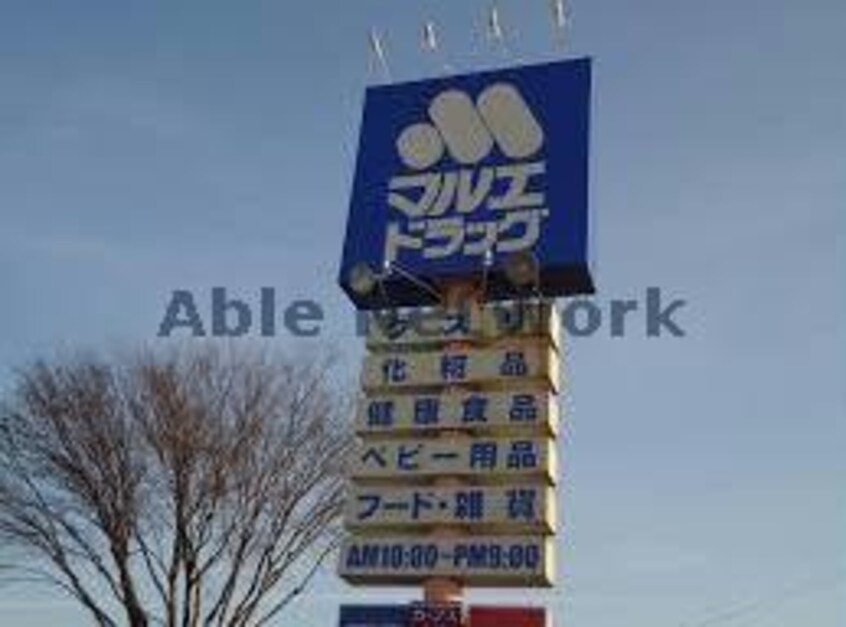 マルエドラッグ片貝店(ドラッグストア)まで1244m Ｍハイツ（前橋市東片貝町）