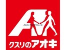 クスリのアオキ南町店(ドラッグストア)まで885m プラティークハイツ（前橋市表町）