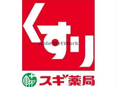 ドラッグスギ時沢店(ドラッグストア)まで838m ル・シアン（前橋市上細井町）