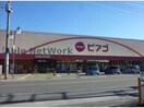 ピアゴ藤岡店(スーパー)まで176m シルキーコート（藤岡市藤岡）