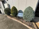  シャトル ブラン