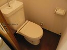 きれいなトイレです ＭＪハイツ（高崎市四ツ屋町）