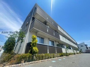 グレイスリーフ