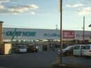 カインズホームFC高崎小鳥店(電気量販店/ホームセンター)まで1685m 御料所ガーデン