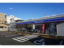 ローソン高崎栄町店(コンビニ)まで1250m TAKASAKI HILLS 2nd（高崎市和田多中町)