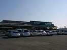 カインズFC高崎東部店(電気量販店/ホームセンター)まで496m リュエルｆ（高崎市貝沢町）
