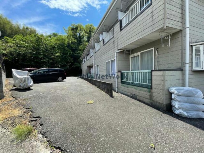  ドルフィン鼻高