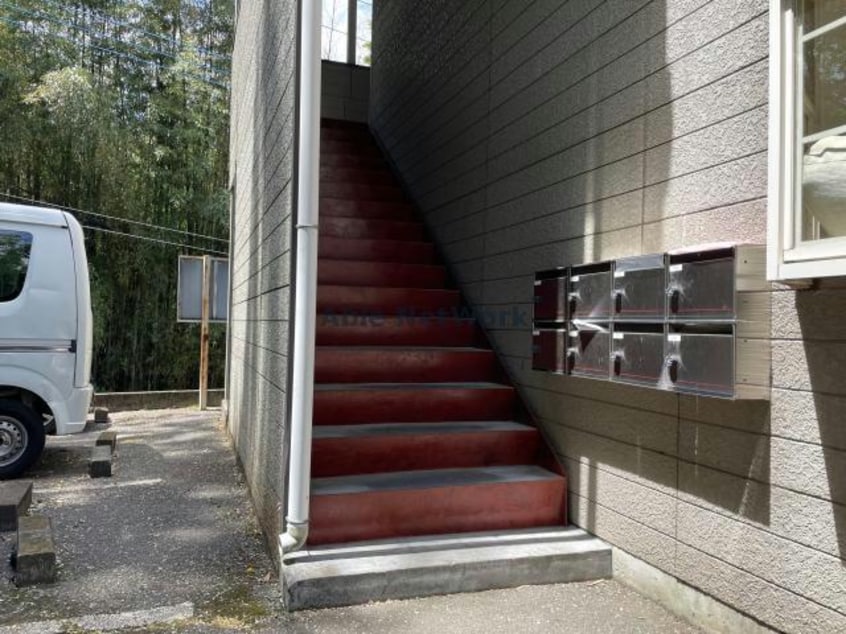  ドルフィン鼻高