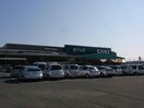 カインズFC高崎東部店(電気量販店/ホームセンター)まで833m 朋友レジデンス