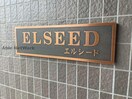 おしゃれなエントランス ELSEED～エルシード（高崎市下小鳥町）