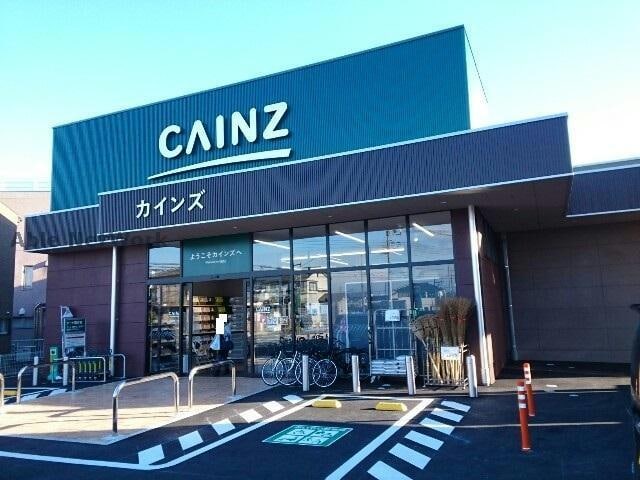 カインズFC高崎小鳥店(電気量販店/ホームセンター)まで217m ELSEED～エルシード～