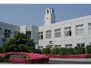 育英短期大学図書館(図書館)まで2239m フォンテーヌ（高崎市東貝沢町）