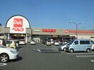 ベルク飯塚店(スーパー)まで1365m メゾン･アヴァンセ（高崎市問屋町西）