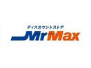 MrMax伊勢崎店(電気量販店/ホームセンター)まで2964m ホワイトレオニス玉村　A/B（玉村町大字樋越）