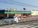 アバンセ玉村店(スーパー)まで3036m 砂原ハイツ（藤岡市立石新田）