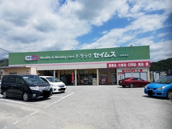 ドラッグセイムス一宮駅前店(ドラッグストア)まで267m グランデール　一本松