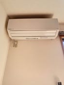 2024年3月撮影 フローラル薊野 Ⅲ