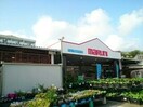 ホームセンターマルニ旭店(電気量販店/ホームセンター)まで1661m メゾン旭　Ⅰ