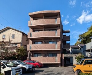 山帰来