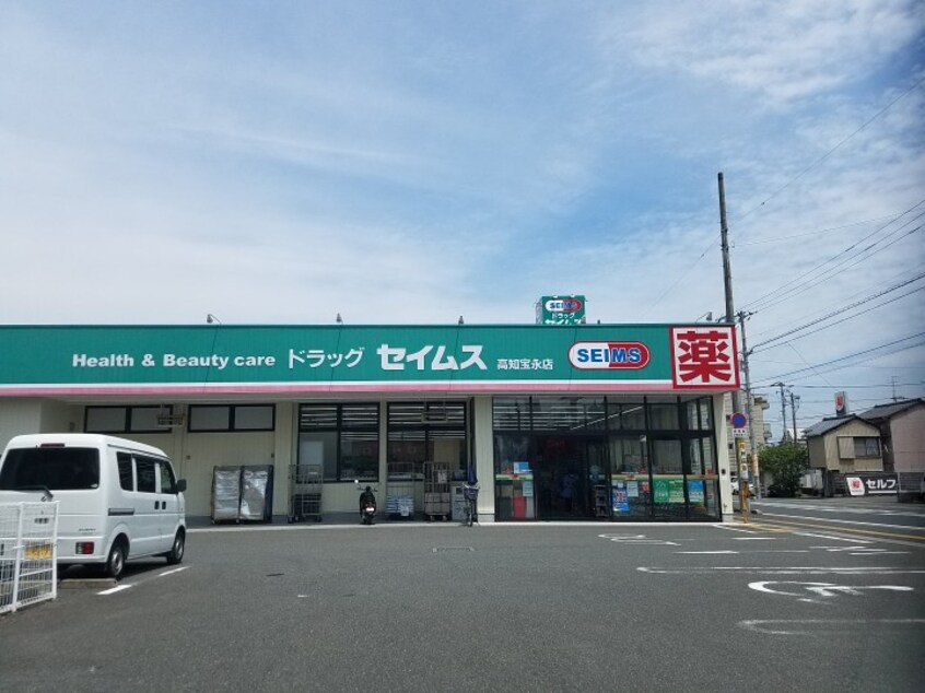 ドラッグセイムス高知宝永店(ドラッグストア)まで175m 高知市電ごめん線・伊野線/知寄町一丁目駅 徒歩6分 2階 築35年