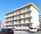 市川マンション Ⅰ(北新田)の外観