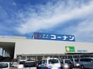 コーナン高知駅前店(電気量販店/ホームセンター)まで1317m オブジェ12