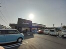 エースワン 潮江店(スーパー)まで409m サーパス新田(1303)