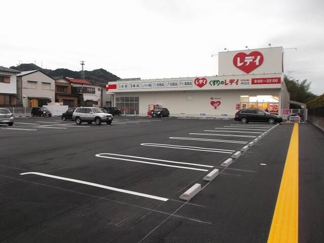 くすりのレデイ 神田店(ドラッグストア)まで355m ファミリータウン西川 D棟