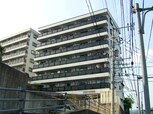 コージーコート