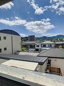 現況を優先します。（撮影時期2022年7月） 高知市電ごめん線・伊野線/上町二丁目駅 徒歩4分 4階 築34年