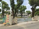 高知大学教育学部附属幼稚園(幼稚園/保育園)まで450m シャーメゾン桜Ⅲ