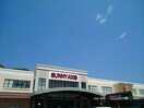サニーアクシス いの店(スーパー)まで435m X-ino