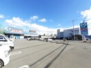 よどやドラッグ 高須店(ドラッグストア)まで480m 高知市電ごめん線・伊野線/文珠通駅 徒歩8分 1階 築47年